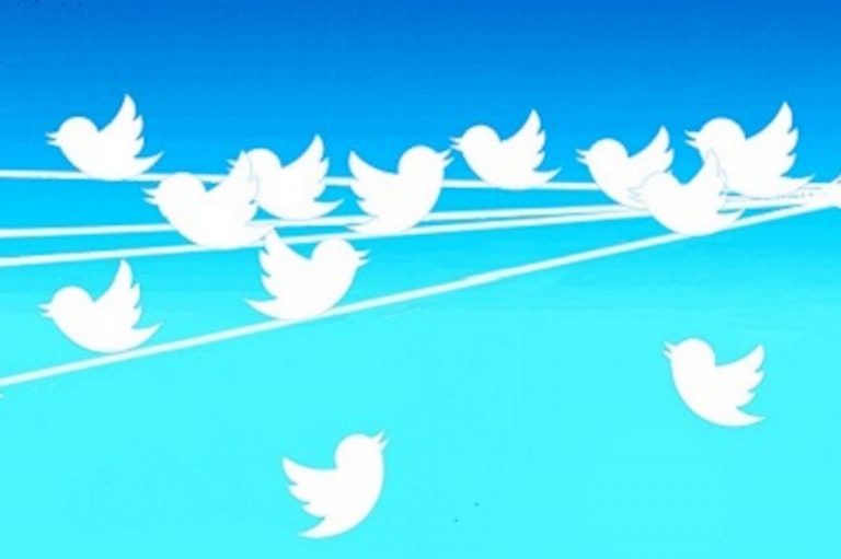 Twitter birds