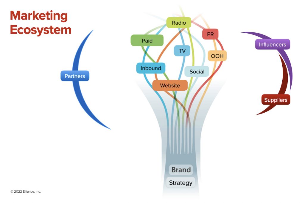 Thinking of Marketing as an Ecosystem