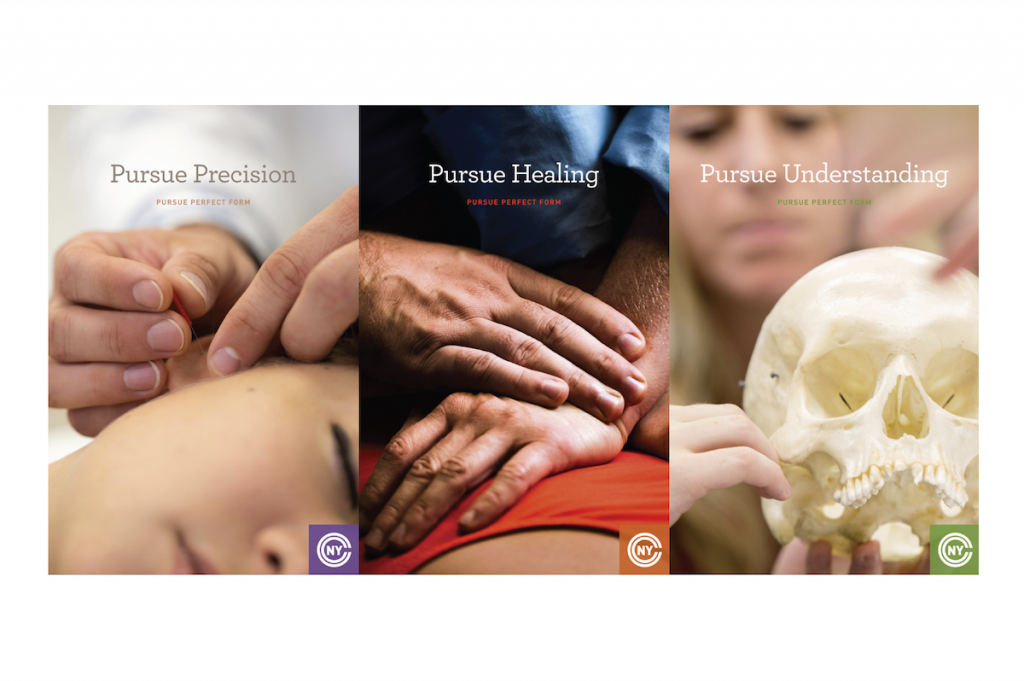 Website Design Agency Reimagines NY Chiropractic College